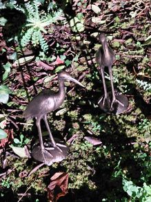 Stunning Pair Of Bronzed Metal Water Cranes