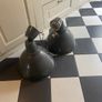 TWO Pendant Lights Ikea  -grey Large 50cm With Bulbs Image 3
