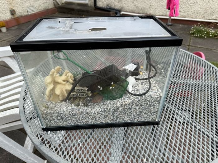 Small Fish Tank