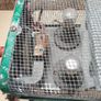 old antique vintage THING steel cage bulbs element  3 PIN PLUG HORACE W STEPHENS  no clue what it is? Egg incubator Image 3