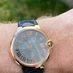Swiss watch fan