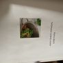 Darina Allen Ballymaloe Cookery Course Image 7