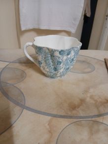 shelley bone china cup