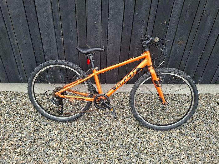 Giant ARX 24 inch kids bike