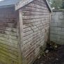 Shed Image 7