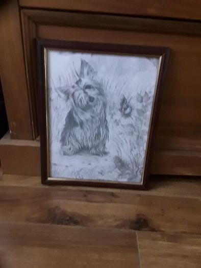 picture