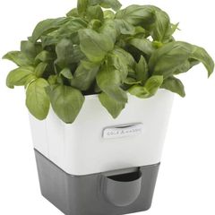 Self-Watering Potted Herb Keeper