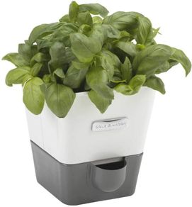 Self-Watering Potted Herb Keeper