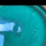 Mid Century Wedgwood pieces Image 8
