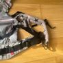 Manduca buckle baby carrier Image 3