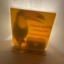Unique vintage Guinness Toucan Perspex advertising plaque Image 2