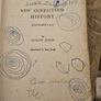 New Curriculum History By Gustav Judge. Illustrated By Imre Judge. 1970 Educational Company Of Ireland  Paperback In Poor Condition.  See Photos For Same. Image 2