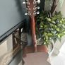 Yamaha Acoustic F-310 Image 4