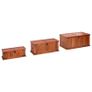 3 Piece Storage Chest Set Image 4