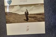 Tinata Tikaram Ancient heart lp