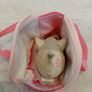 Zhu Zhu toy Image 3