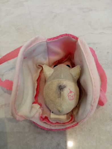 Zhu Zhu toy