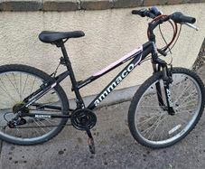 Girls bike