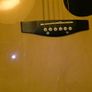 ELEVATION Acoustic Guitar Image 3