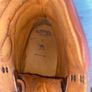 Camel Boots Size 11 Men's Image 5