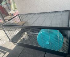 hamster cage