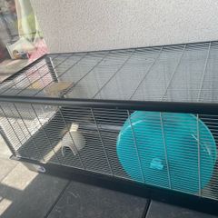 hamster cage