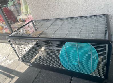 hamster cage
