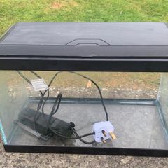 fish tank