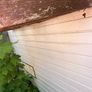 Ex pigeon loft Image 5