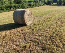 Round bales