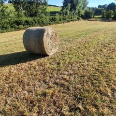 Round bales
