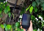 Hunting & Game Trail Cameras Wexford
