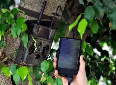 Hunting & Game Trail Cameras Wexford