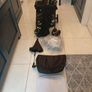 Graco buggt Image 2
