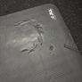 JLL Yoga Mat Extra Thick 15mm Image 6