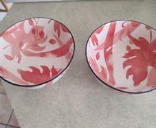 MADOWS & BYRNE PORCELAIN Dishwasher & Microwave Safe Tola Sakura breakfast bowl Set of 2.