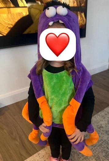 Spider costume