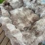 Pet Bed Image 2