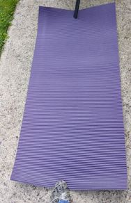 exercise/ yoga mat