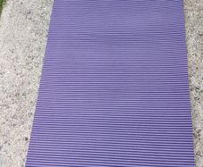 exercise/ yoga mat