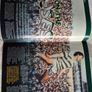 Celtic v Rangers 2005 Match Programme Image 5