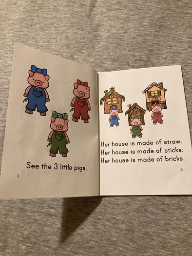 Mini books