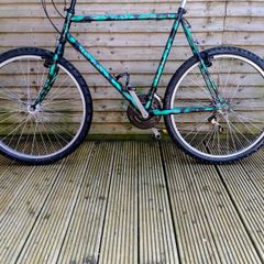 Raleigh Voyager Mountain Bike