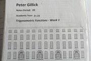 Institute of Education Maths notes
