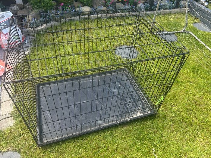 large dog crate