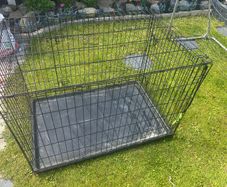 large dog crate