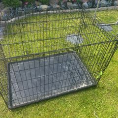large dog crate