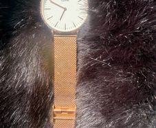 Cluse Watch
