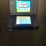 Nintendo DS  lite Image 5