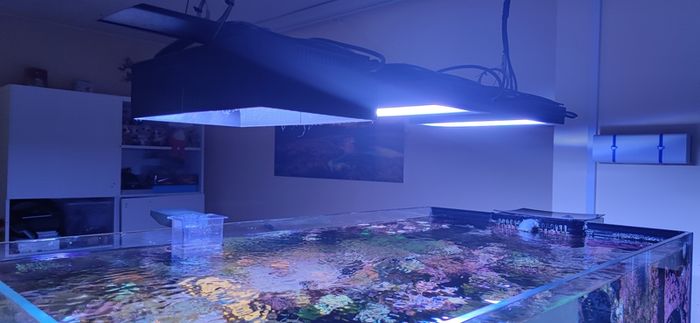 Reef Tank Cable Management